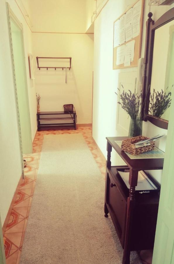 App Obrovac In The Centre - With Amazing Sea View! Apartment Pula